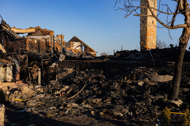 Reliable Fire Damage Repair contractor in Texas, TX by Fire Damage Doption
